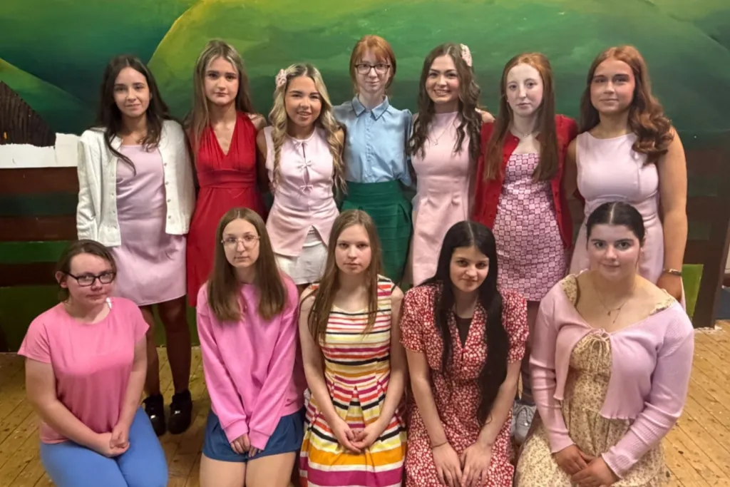 Scoil Mhuire Strokestown uses the School Self-Evaluation